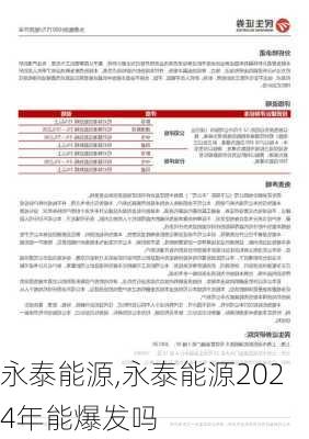 永泰能源,永泰能源2024年能爆发吗-第1张图片-奥莱旅游网