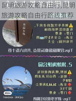 昆明旅游攻略自由行,昆明旅游攻略自由行路线推荐-第1张图片-奥莱旅游网