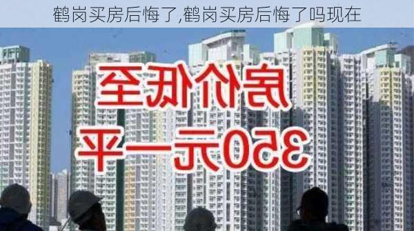 鹤岗买房后悔了,鹤岗买房后悔了吗现在