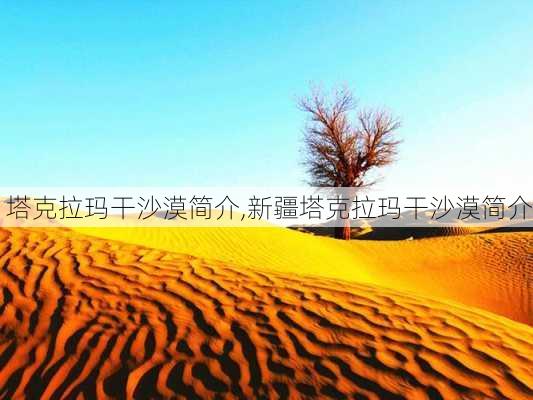 塔克拉玛干沙漠简介,新疆塔克拉玛干沙漠简介-第2张图片-奥莱旅游网