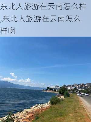 东北人旅游在云南怎么样,东北人旅游在云南怎么样啊-第3张图片-奥莱旅游网