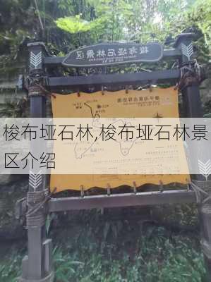 梭布垭石林,梭布垭石林景区介绍-第2张图片-奥莱旅游网