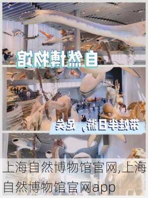 上海自然博物馆官网,上海自然博物馆官网app-第3张图片-奥莱旅游网