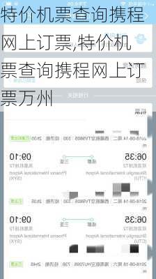 特价机票查询携程网上订票,特价机票查询携程网上订票万州-第3张图片-奥莱旅游网