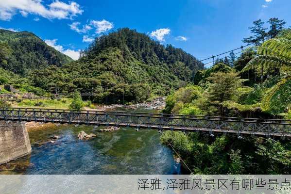 泽雅,泽雅风景区有哪些景点