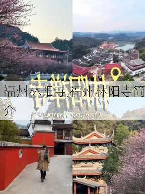 福州林阳寺,福州林阳寺简介