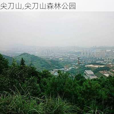 尖刀山,尖刀山森林公园-第3张图片-奥莱旅游网