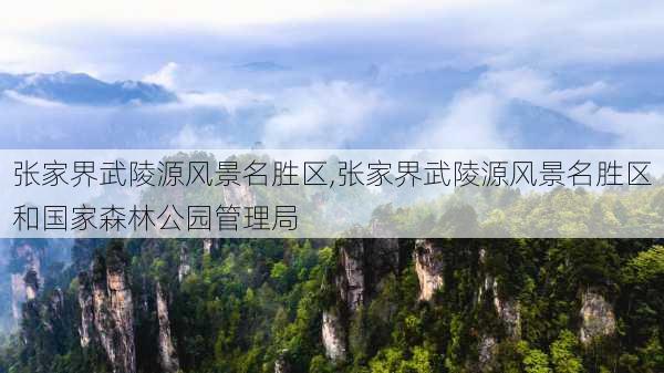 张家界武陵源风景名胜区,张家界武陵源风景名胜区和国家森林公园管理局-第3张图片-奥莱旅游网