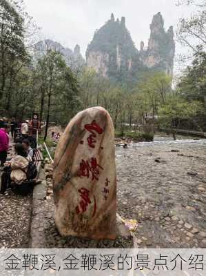 金鞭溪,金鞭溪的景点介绍-第3张图片-奥莱旅游网