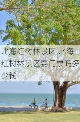 北海红树林景区,北海红树林景区要门票吗多少钱-第1张图片-奥莱旅游网