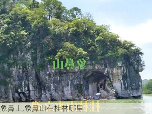 象鼻山,象鼻山在桂林哪里-第3张图片-奥莱旅游网