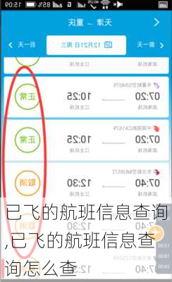 已飞的航班信息查询,已飞的航班信息查询怎么查-第3张图片-奥莱旅游网