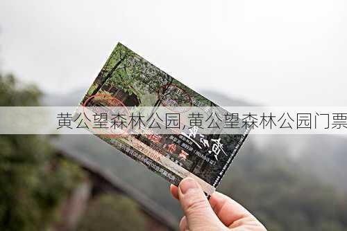 黄公望森林公园,黄公望森林公园门票-第3张图片-奥莱旅游网