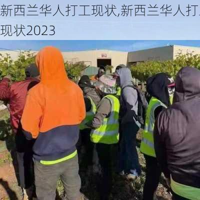 新西兰华人打工现状,新西兰华人打工现状2023-第2张图片-奥莱旅游网