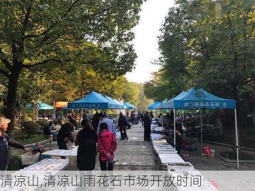 清凉山,清凉山雨花石市场开放时间-第2张图片-奥莱旅游网