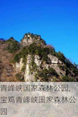 青峰峡国家森林公园,宝鸡青峰峡国家森林公园-第1张图片-奥莱旅游网