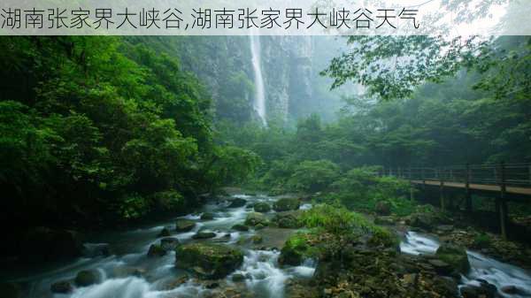 湖南张家界大峡谷,湖南张家界大峡谷天气-第3张图片-奥莱旅游网