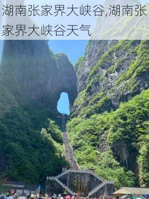 湖南张家界大峡谷,湖南张家界大峡谷天气-第2张图片-奥莱旅游网