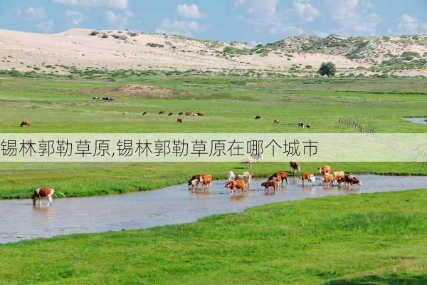 锡林郭勒草原,锡林郭勒草原在哪个城市-第1张图片-奥莱旅游网