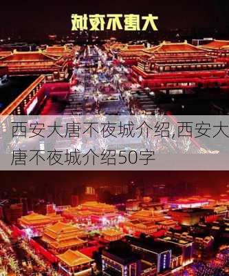 西安大唐不夜城介绍,西安大唐不夜城介绍50字-第2张图片-奥莱旅游网