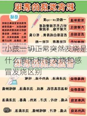 小孩一切正常突然发烧是什么原因,积食发烧和感冒发烧区别-第1张图片-奥莱旅游网