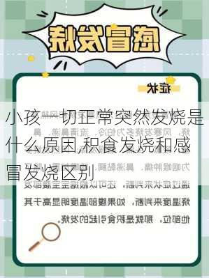 小孩一切正常突然发烧是什么原因,积食发烧和感冒发烧区别-第2张图片-奥莱旅游网