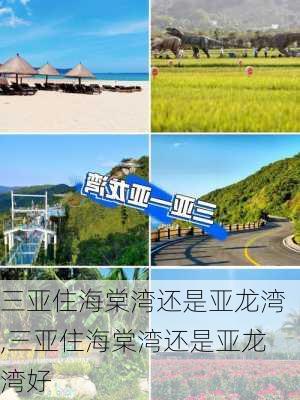 三亚住海棠湾还是亚龙湾,三亚住海棠湾还是亚龙湾好-第2张图片-奥莱旅游网