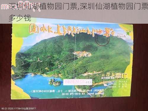 深圳仙湖植物园门票,深圳仙湖植物园门票多少钱-第3张图片-奥莱旅游网