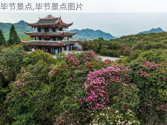 毕节景点,毕节景点图片-第2张图片-奥莱旅游网