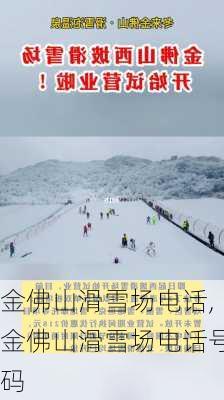 金佛山滑雪场电话,金佛山滑雪场电话号码-第3张图片-奥莱旅游网