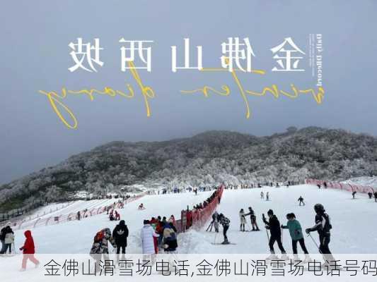 金佛山滑雪场电话,金佛山滑雪场电话号码-第1张图片-奥莱旅游网