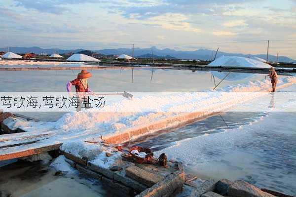 莺歌海,莺歌海盐场-第1张图片-奥莱旅游网