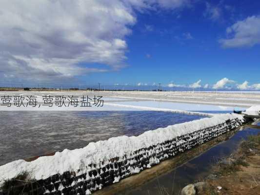 莺歌海,莺歌海盐场-第2张图片-奥莱旅游网