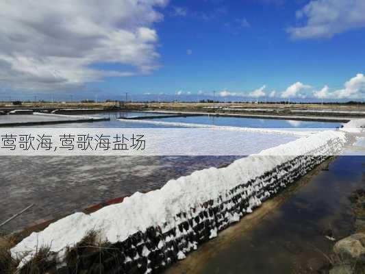 莺歌海,莺歌海盐场-第3张图片-奥莱旅游网