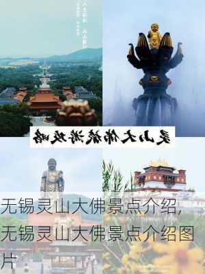 无锡灵山大佛景点介绍,无锡灵山大佛景点介绍图片-第2张图片-奥莱旅游网