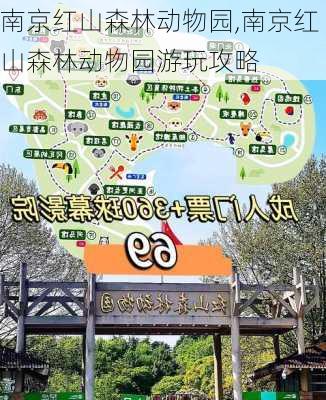 南京红山森林动物园,南京红山森林动物园游玩攻略-第2张图片-奥莱旅游网