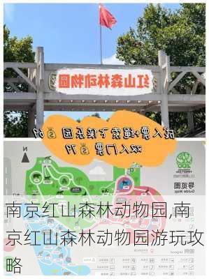 南京红山森林动物园,南京红山森林动物园游玩攻略-第3张图片-奥莱旅游网