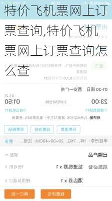 特价飞机票网上订票查询,特价飞机票网上订票查询怎么查