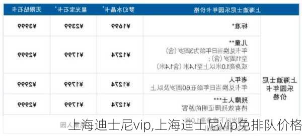 上海迪士尼vip,上海迪士尼vip免排队价格-第3张图片-奥莱旅游网