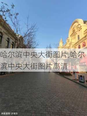 哈尔滨中央大街图片,哈尔滨中央大街图片高清-第2张图片-奥莱旅游网