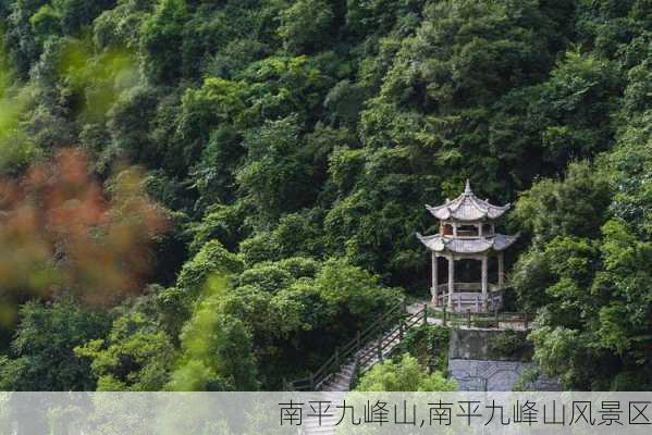 南平九峰山,南平九峰山风景区-第3张图片-奥莱旅游网