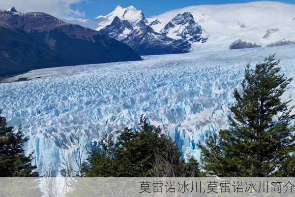 莫雷诺冰川,莫雷诺冰川简介-第1张图片-奥莱旅游网