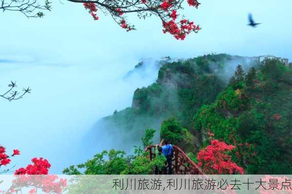 利川旅游,利川旅游必去十大景点-第3张图片-奥莱旅游网