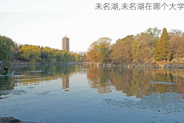 未名湖,未名湖在哪个大学