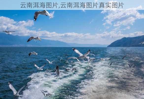 云南洱海图片,云南洱海图片真实图片-第1张图片-奥莱旅游网