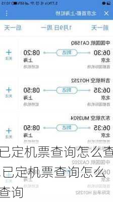 已定机票查询怎么查,已定机票查询怎么查询-第3张图片-奥莱旅游网