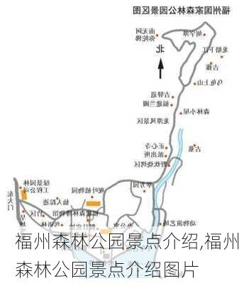 福州森林公园景点介绍,福州森林公园景点介绍图片-第1张图片-奥莱旅游网