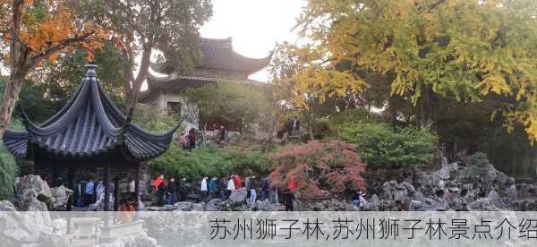 苏州狮子林,苏州狮子林景点介绍-第2张图片-奥莱旅游网