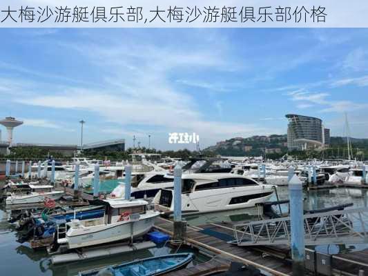 大梅沙游艇俱乐部,大梅沙游艇俱乐部价格-第3张图片-奥莱旅游网