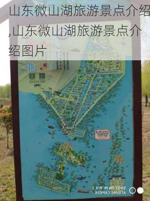 山东微山湖旅游景点介绍,山东微山湖旅游景点介绍图片